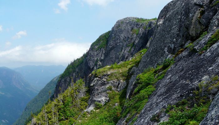 Photographie Circuits