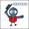 logo erstein
